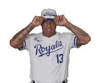 Kansas City Royals Sport Sticker by MLB