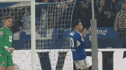 Football No GIF by FC Schalke 04