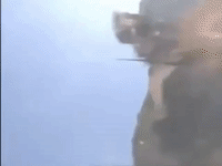 kung fu GIF