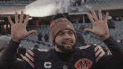 Da Bears Nfl GIF