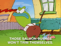 rockos modern life nicksplat GIF