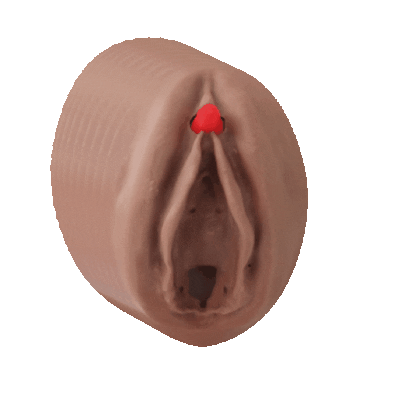 vulvarias giphygifmaker vulva clitoris vulvarias Sticker