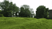 Umsocial GIF by University of Michigan