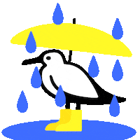 Fall Rain Sticker by newhollandisland