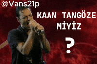 Vans21P GIF