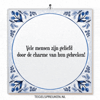 Humor Nl GIF by Tegelspreuken.nl