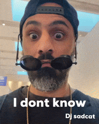I Dont Know GIF by dj sadcat
