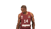 Nba Raptors Sticker by FC Bayern Basketball