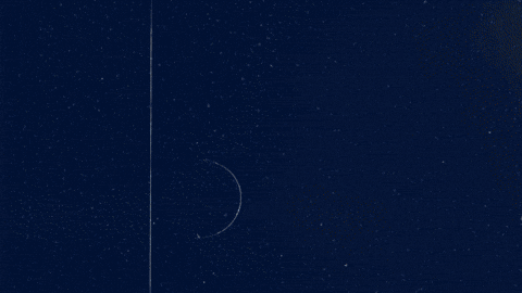 GIF by Ria Money Transfer