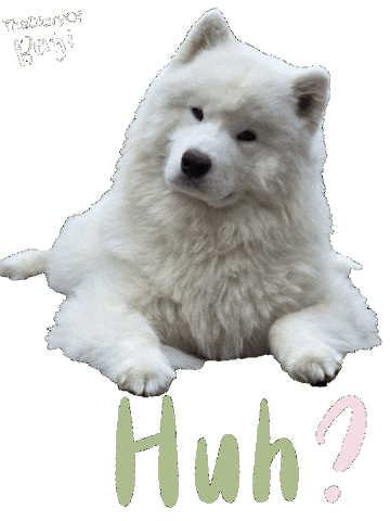 Sorry Pardon Sticker