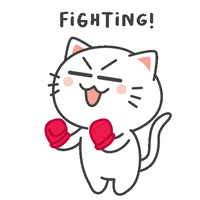 Kiki Cat GIF by KIKI