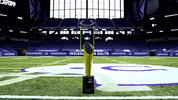 Football Colts GIF by Indianapolis Host Committee