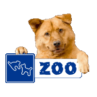 zoopetshop zoo petshop kopek evcil hayvan Sticker
