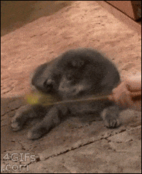face betrayal GIF