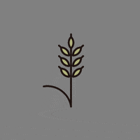 tetemarche_mochizuki recipist レシピスト GIF