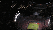 Nc State Wolfpack GIF by NC State Athletics