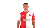 Football Waving Sticker by SK Slavia Praha