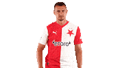 Football Heart Sticker by SK Slavia Praha
