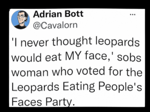 Politics Voting GIF