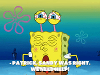 season 8 episode 20 GIF by SpongeBob SquarePants