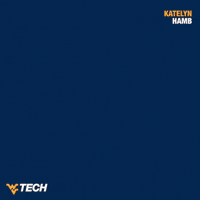 Softball GIF by WVU Tech Golden Bears