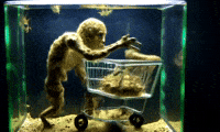 GIF by Alex Boya