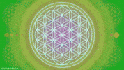 iamtheportal sacred geometry flower of life flordevida GIF