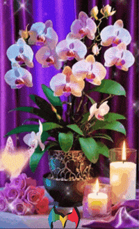 Llego La Hora Flores GIF by Murcianys LLC