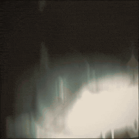 Catfish Dontlook GIF
