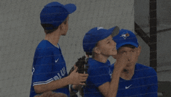 Blue Jays Baseball GIF by Toronto Blue Jays