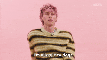 I'm Allergic To Dogs