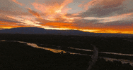new mexico albuquerque GIF