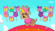 jojo siwa dog GIF by Nickelodeon