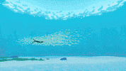 Water Swimming GIF by Giant Squid