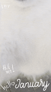 Happy New Year Hello GIF