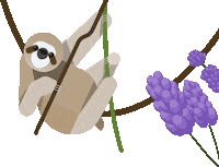 Relax Sloth Sticker by Lebensbaum