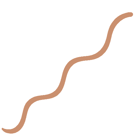 Wave Snake Sticker by BKIND