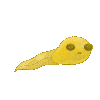 kat-vita baby yellow pop swimming Sticker