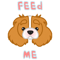 cavalier king charles spaniel dog Sticker