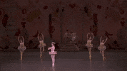 nutcracker marzipan GIF by New York City Ballet
