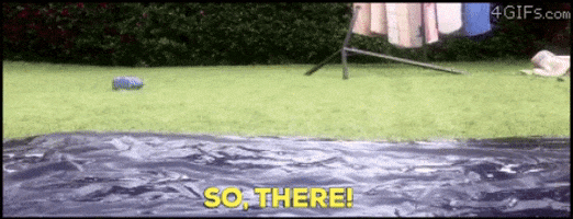 VicVik giphygifmaker GIF