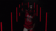 Houston Roughnecks GIF by XFL