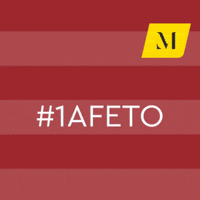 Sou1 GIF by Machado Meyer