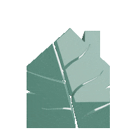 Logo Rotate Sticker by Plants & Living