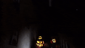 DorneyParkPR halloween october pennsylvania pumpkins GIF