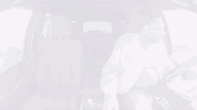lns211 GIF by truTV's Late Night Snack