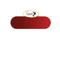 Felizdia Sticker by Cabello Perfecto