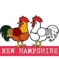 Newhampshire Sticker