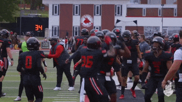 Football Gameday GIF by University of Central Missouri