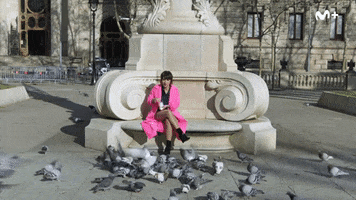 Pan Paloma GIF by Movistar Plus+